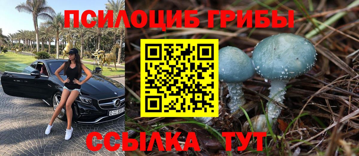 Галлюциногенные грибы ЛСД Ессентуки