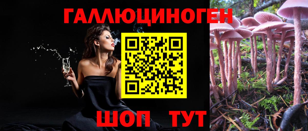 Псилоцибиновые грибы ЛСД  Галлюциногенные грибы мицелий  Вход с VPN  Ессентуки 
